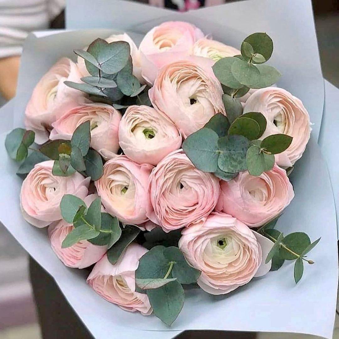 ช่อดอกไม้ Ranunculus ที่สง่างาม – ความงามเหนือกาลเวลา